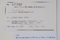 登錄號:S128206藏品圖，第2張