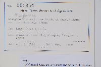 八角楓藏品圖，第2張