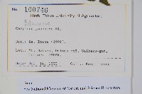 登錄號:S128208藏品圖，第2張