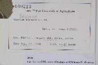 日本榛藏品圖，第2張