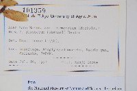 登錄號:S128213藏品圖，第2張