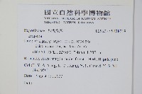 登錄號:S128219藏品圖，第2張