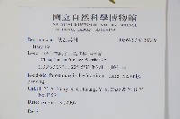 登錄號:S128249藏品圖，第2張