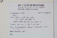 登錄號:S128260藏品圖，第2張