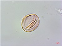 登錄號:S128262藏品圖，第3張