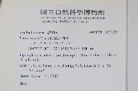 登錄號:S128271藏品圖，第2張