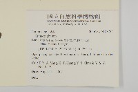 登錄號:S128284藏品圖，第2張