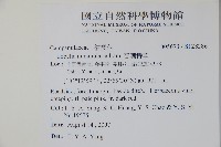 普刺特草藏品圖，第2張