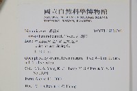 木蝴蝶藏品圖，第5張