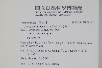 木蝴蝶藏品圖，第9張