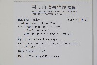 尼泊爾赤楊藏品圖，第2張