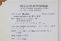 錐序水東哥藏品圖，第2張