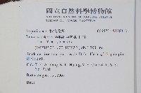 登錄號:S128310藏品圖，第2張