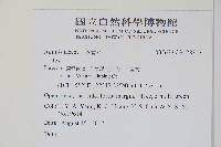 登錄號:S128323藏品圖，第2張