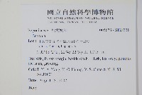 登錄號:S128330藏品圖，第2張