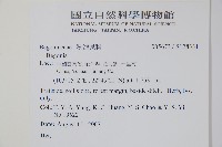 登錄號:S128331藏品圖，第2張