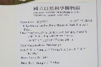 細基丸藏品圖，第2張