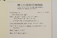 鬼針藏品圖，第2張