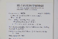 羊乳、四葉參藏品圖，第2張