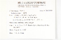 費菜藏品圖，第2張