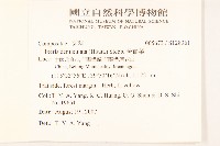 苦實菜藏品圖，第2張