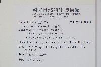 水金鳳藏品圖，第2張