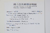 刺五加藏品圖，第2張