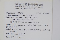 裂葉秋海棠藏品圖，第2張