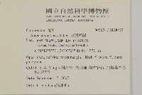 臺灣馬蘭藏品圖，第2張