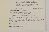 繁縷藏品圖，第2張