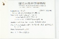 能高佛甲草藏品圖，第2張