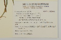 玉山石竹藏品圖，第2張