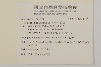 大葉南蛇藤藏品圖，第2張