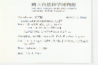 火焰草藏品圖，第2張