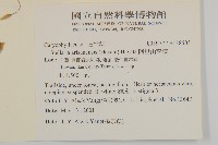 華八仙藏品圖，第2張