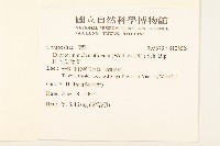 田代氏澤蘭藏品圖，第2張