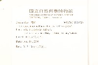 蔓黃菀藏品圖，第2張