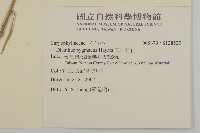 玉山石竹藏品圖，第2張