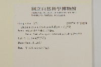 地膽草、毛蓮菜藏品圖，第2張