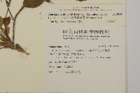 臺灣鬼督郵藏品圖，第2張