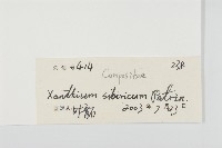 蒼耳藏品圖，第3張