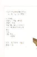 蔓黃菀藏品圖，第2張