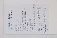 豐滿鳳仙花藏品圖，第2張