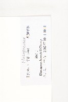 胡頹子藏品圖，第3張