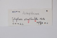 三分丹藏品圖，第2張