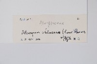 八角楓藏品圖，第2張