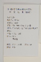 無柄衛矛藏品圖，第2張