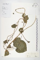 登錄號:S128707藏品圖，第1張