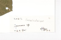 登錄號:S128707藏品圖，第3張