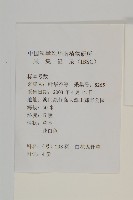 大花咸豐草藏品圖，第2張